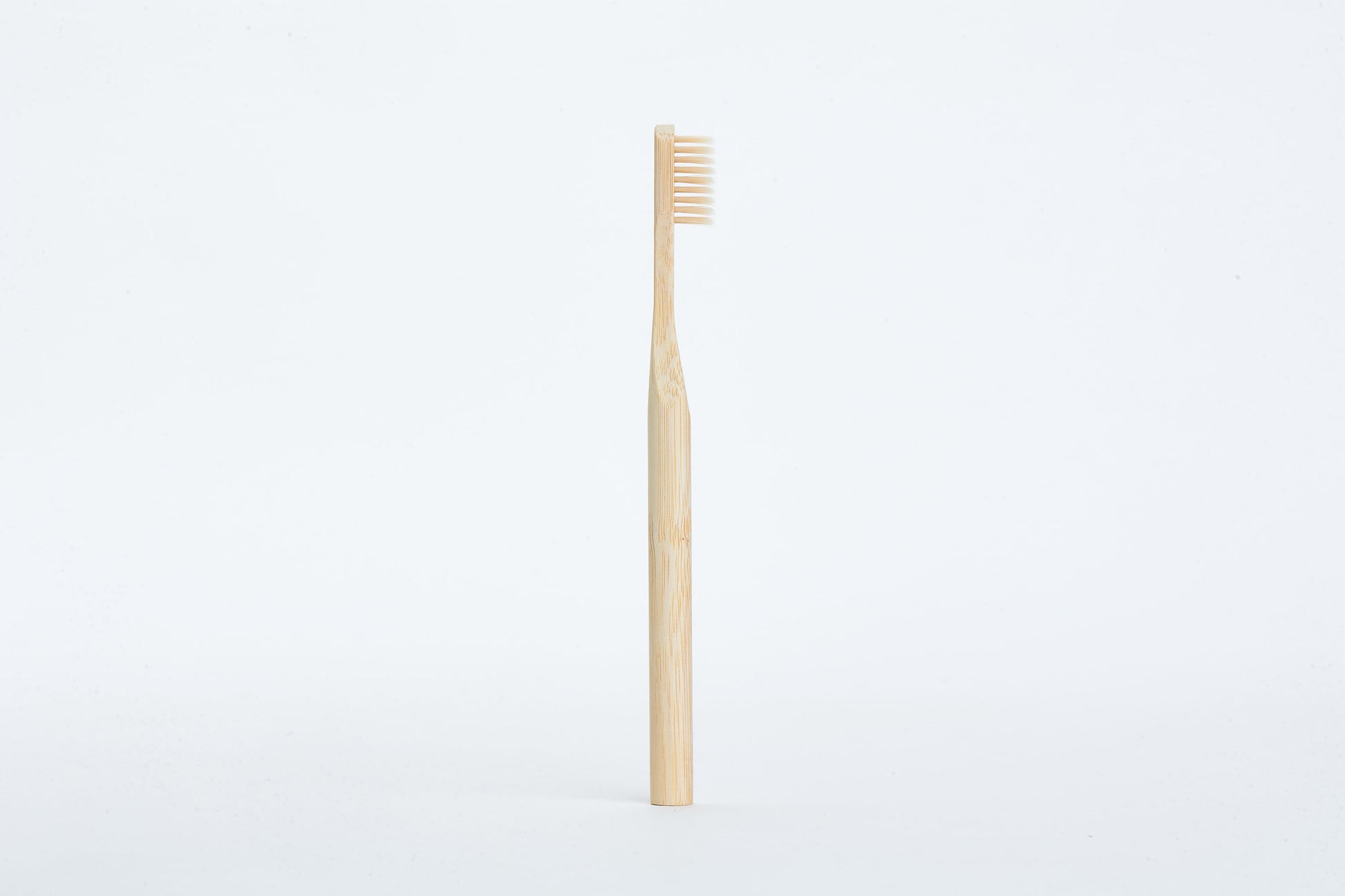 Bamboo Toothbrush Set - Lucid and Real